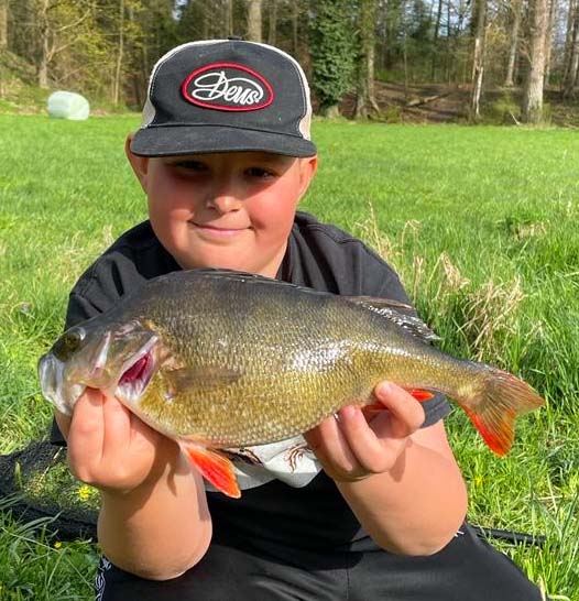 Lennox Kilian Barsch 40 cm 900 g Rednitz