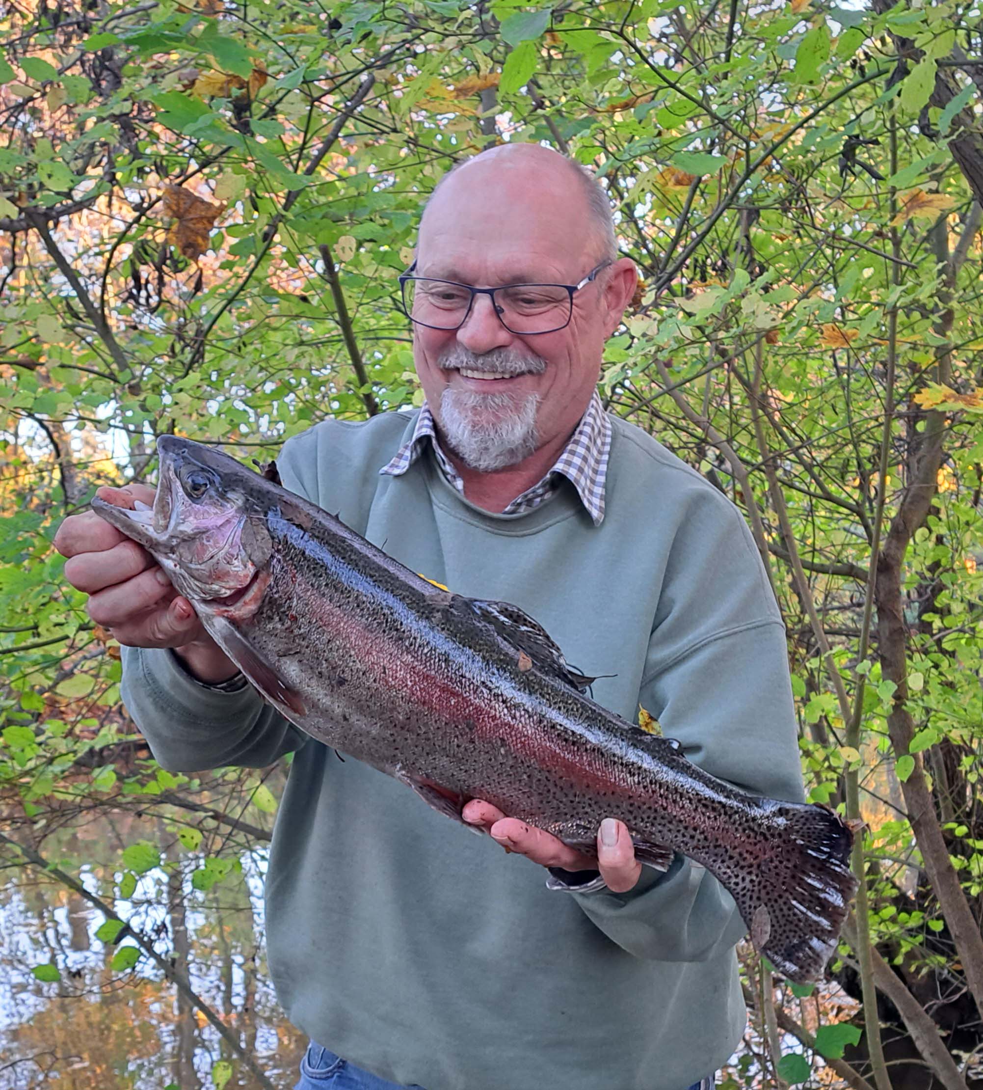 K-H Petschner Regenbogenforelle 50 cm 1,5 kg Bibert