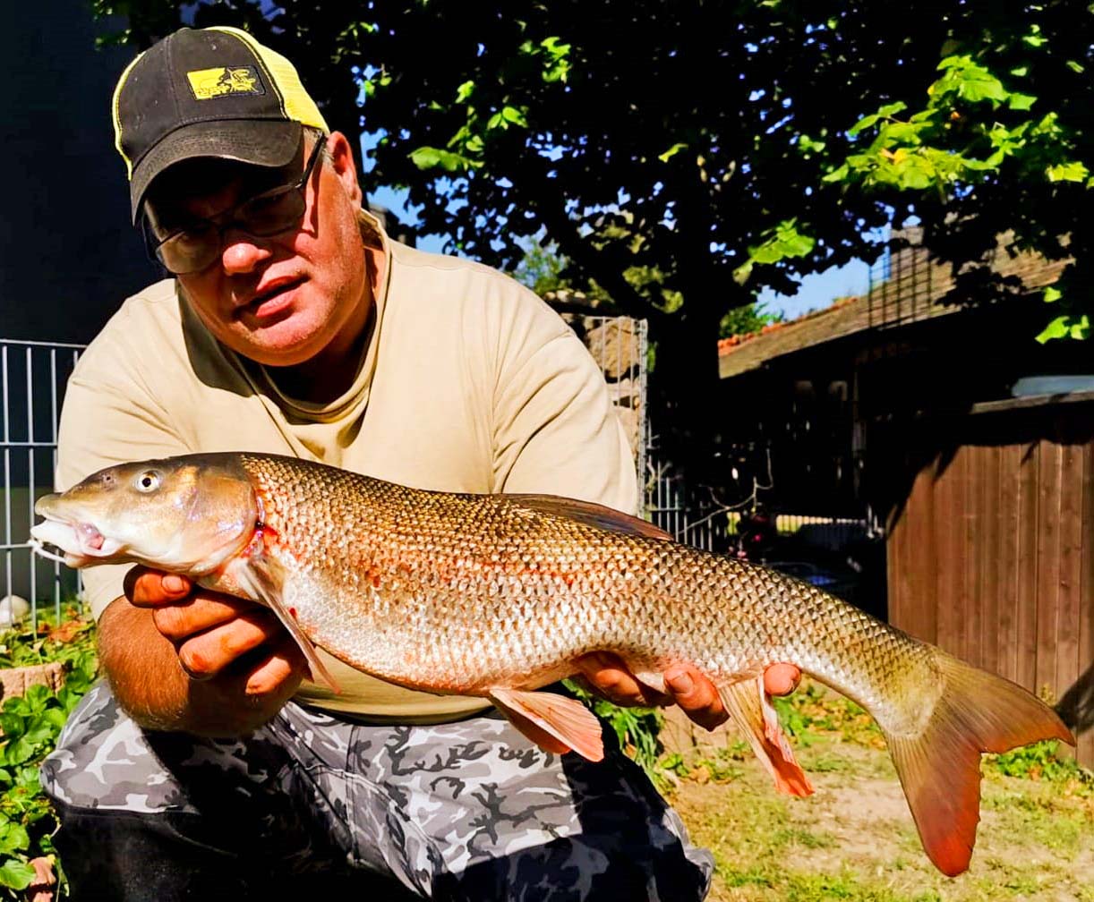 Andreas Bausch Barbe 61 cm 1900 g Regnitz