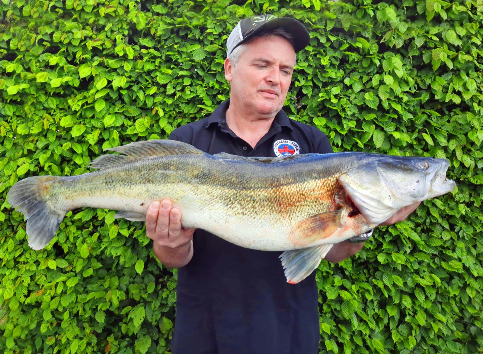 Mario Steigmann Zander 83 cm 5,1 kg Bibert