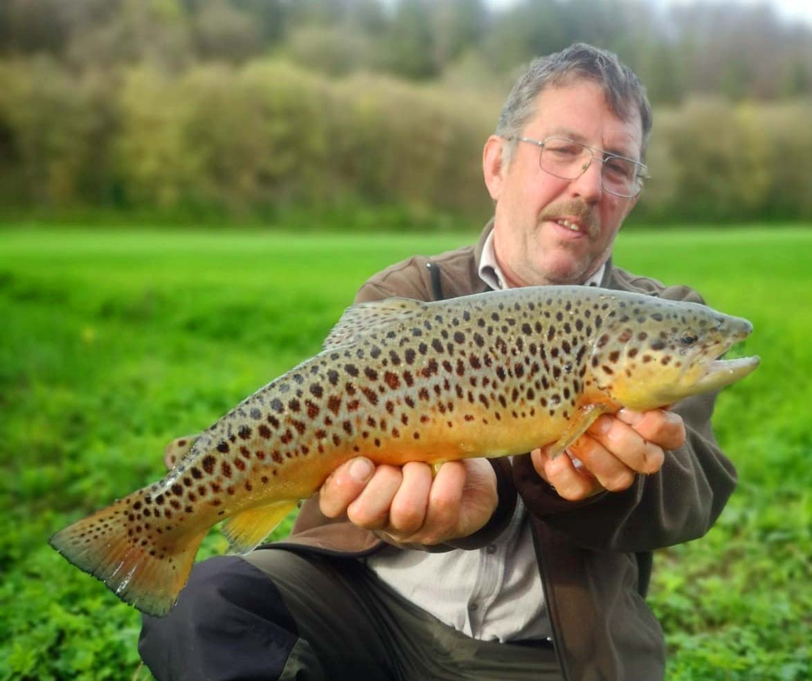 Peter Walther Bachforelle 48 cm 1300 g Pegnitz