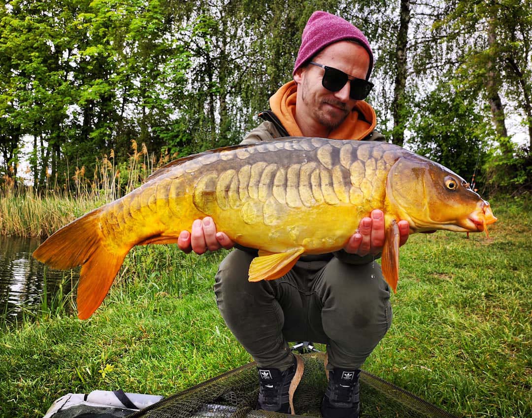 David Greve Zeilkarpfen 80 cm 15 Pfund Ulrichsee