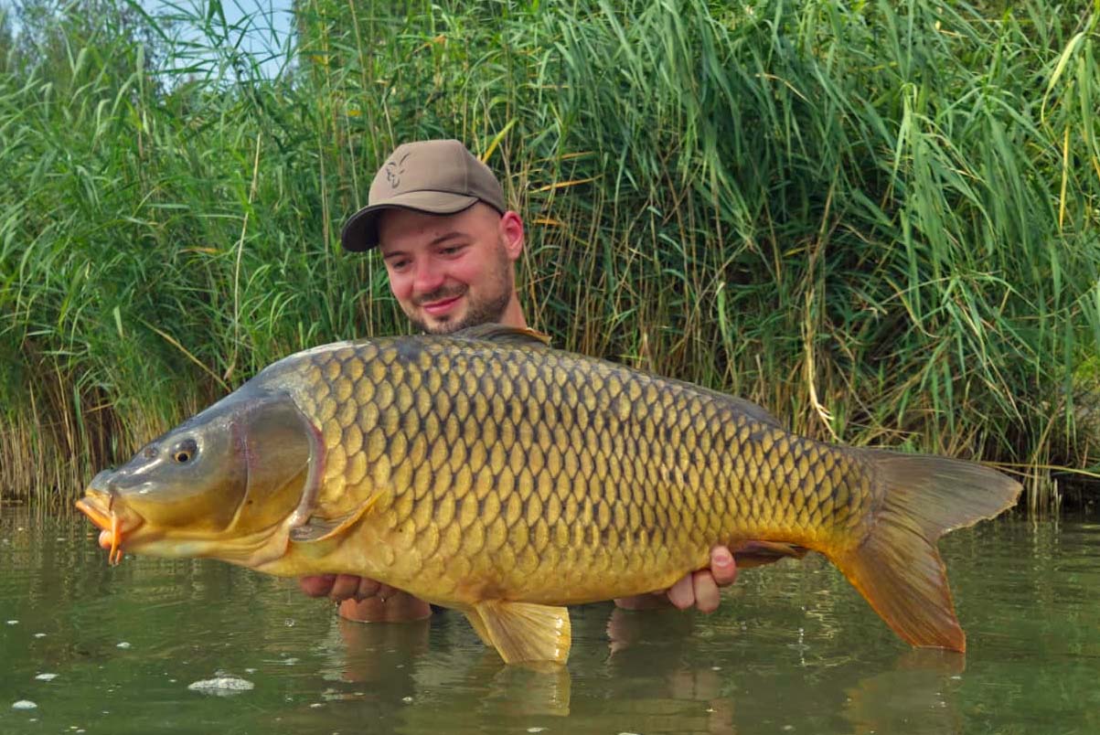Thomas Lanzendörfer Karpfen 79 cm 11,5 kg Ulrichsee